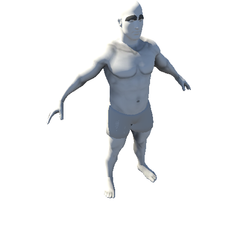 Human Male_2tpose